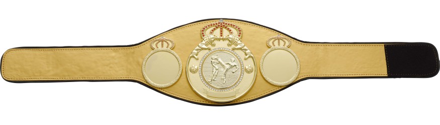 KICKBOXING CHAMPIONSHIP BELT PROLION/G/KBOG - AVAILABLE IN 6+ COLOURS KICKBOXING CHAMPIONSHIP BELT PROLION/G/KBOG - AVAILABLE IN 6+ COLOURS